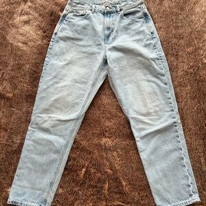 American Eagle Outfitters Light Blue Mom Jeans